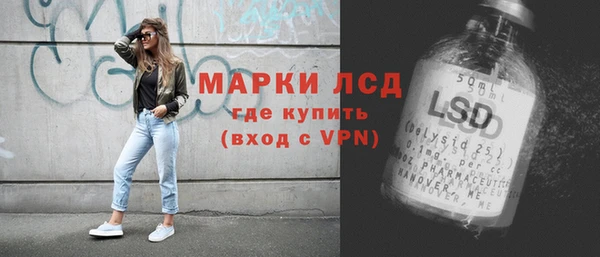 индика Абинск
