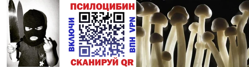 Псилоцибиновые грибы мицелий  наркотики  Талдом 
